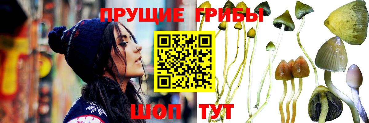 Галлюциногенные грибы MAGIC MUSHROOMS  Псилоцибиновые грибы MAGIC MUSHROOMS  Лосино-Петровский  Вход с VPN 